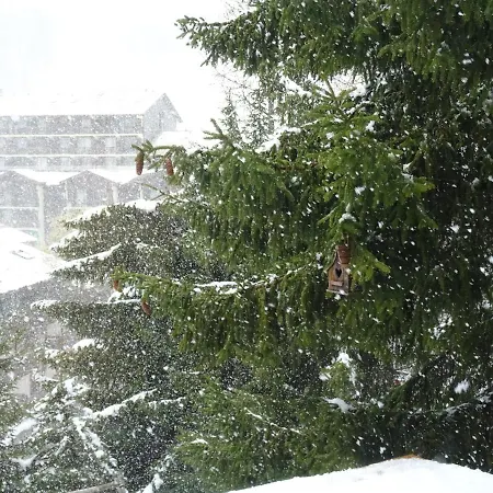 Chalet La Foux D Centre Station Allos